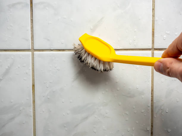 Best Mold Cleaning Services  in Fox Point, WI