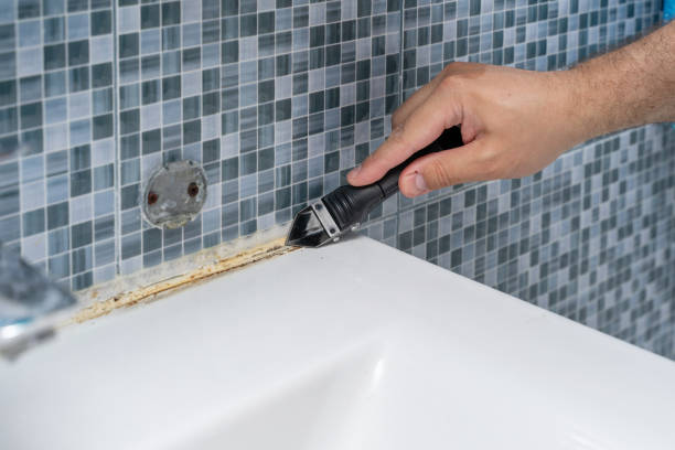 Certified Mold Removal in Fox Point, WI