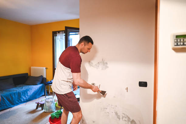 Best Mold Damage Repair  in Fox Point, WI